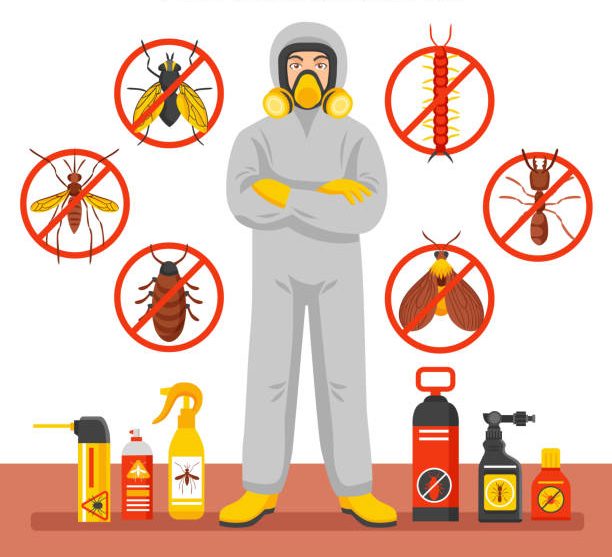 مكافحة الحشرات 